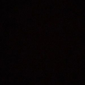 Meet your Posher, Dylan